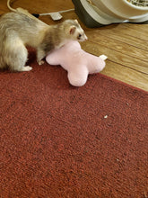 Load image into Gallery viewer, Ferret charm