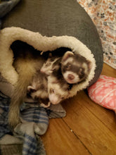 Load image into Gallery viewer, Ferret charm