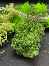 Load image into Gallery viewer, Chain Link Bracelet