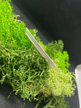 Load image into Gallery viewer, Rope Cuff Bracelet