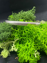 Load image into Gallery viewer, Milgrain Cuff Bracelet