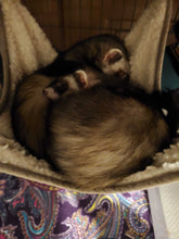 Load image into Gallery viewer, Ferret charm